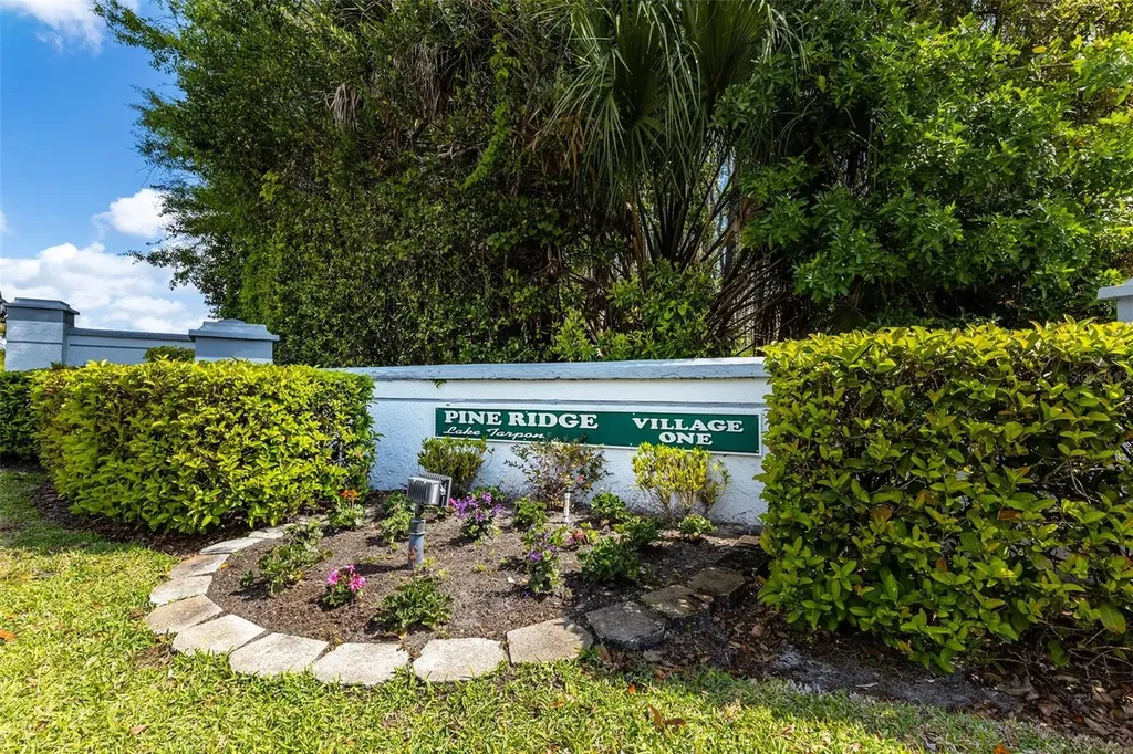 1182 Pine Ridge Circle W Tarpon Springs FL 34688