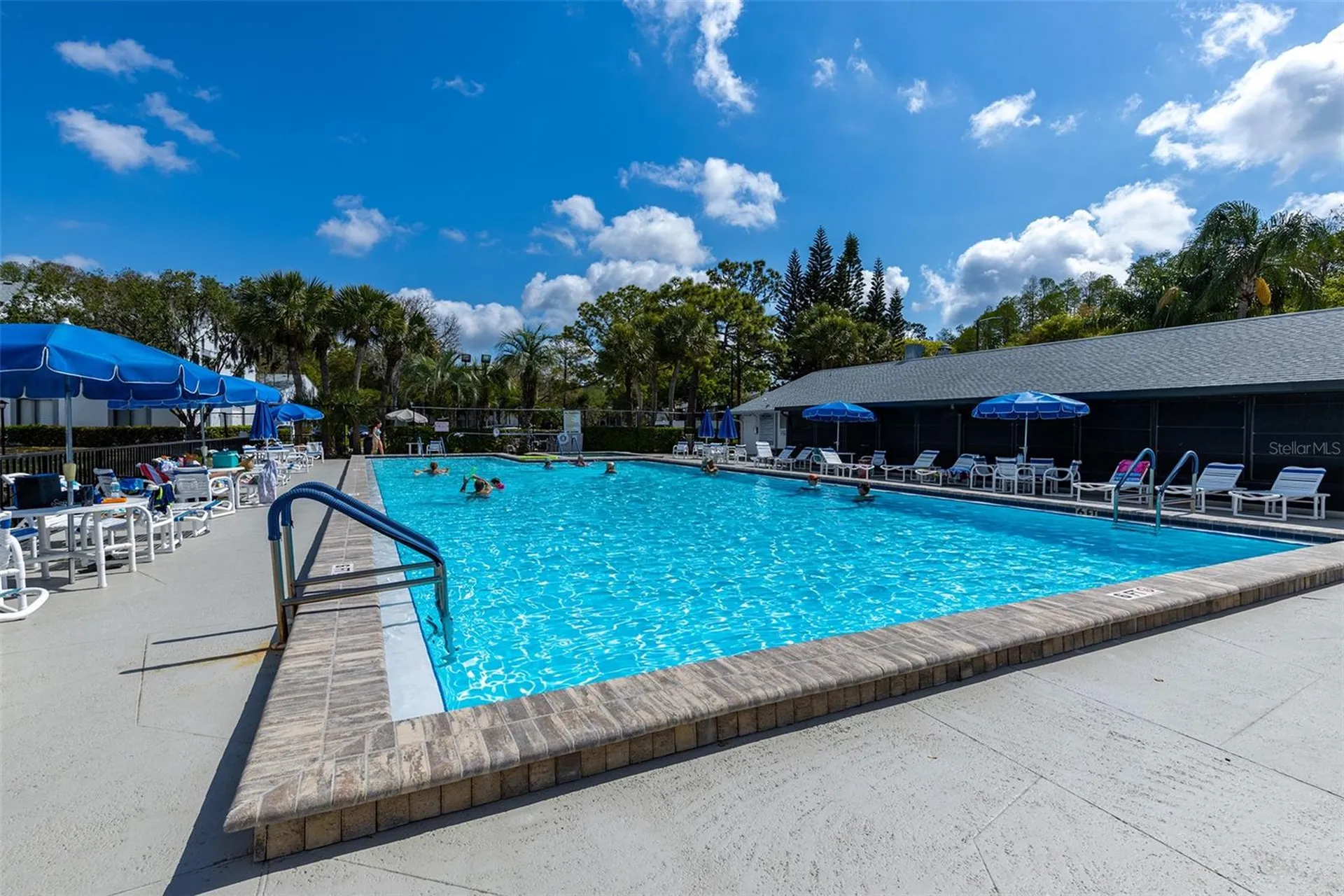 1182 Pine Ridge Circle W Tarpon Springs FL 34688