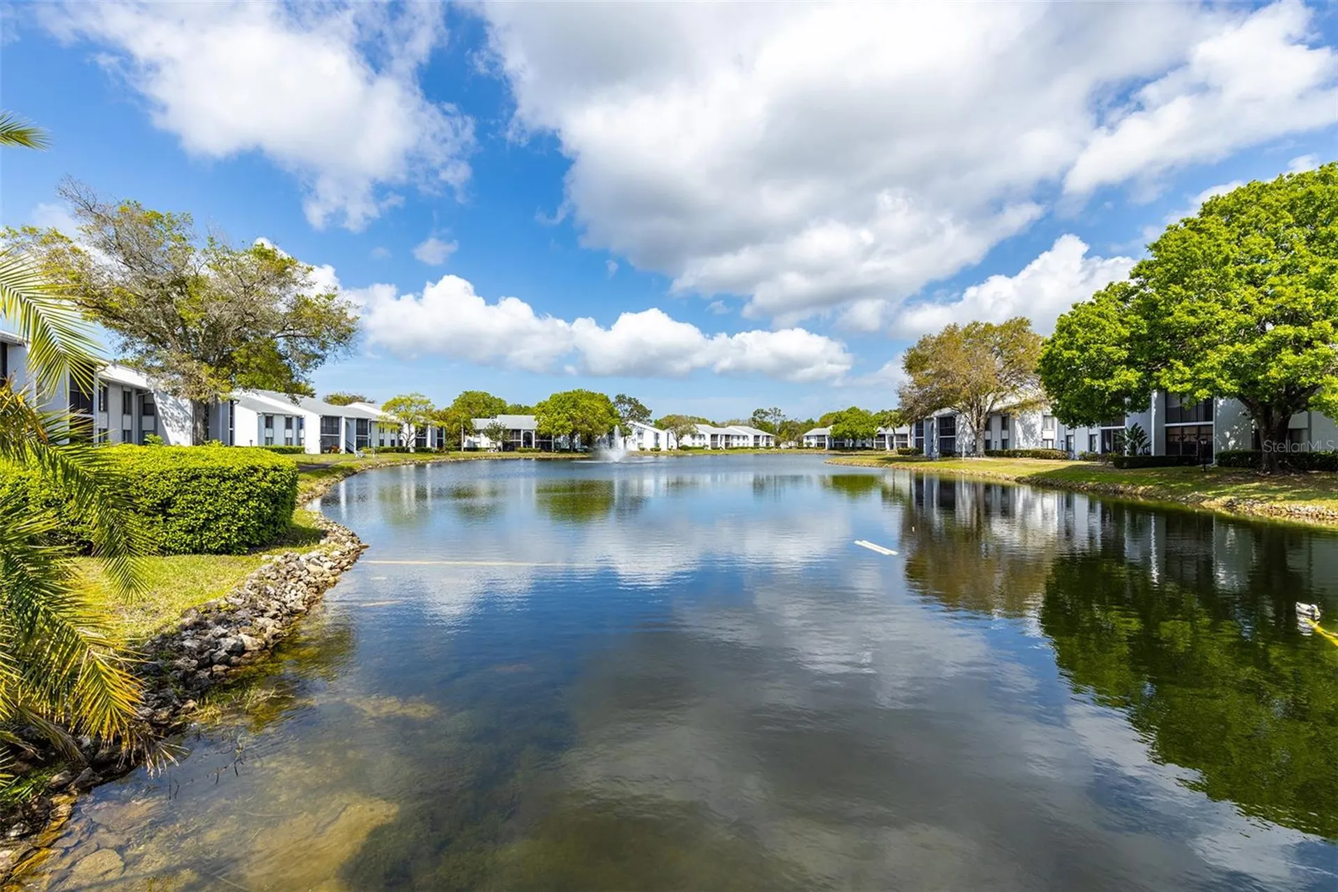 1182 Pine Ridge Circle W Tarpon Springs FL 34688