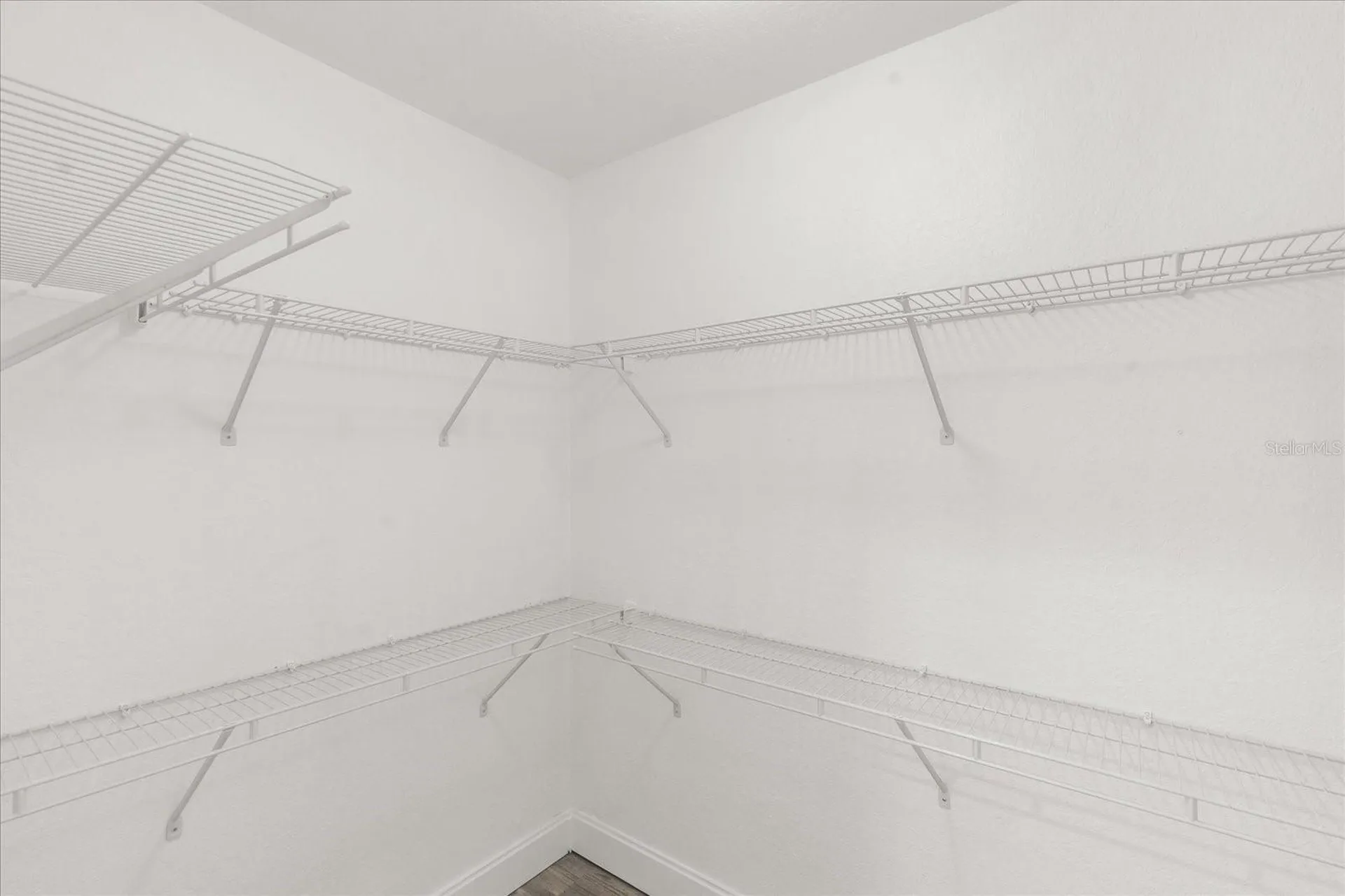 4007 Bangalow Palm Court Tampa FL 33624