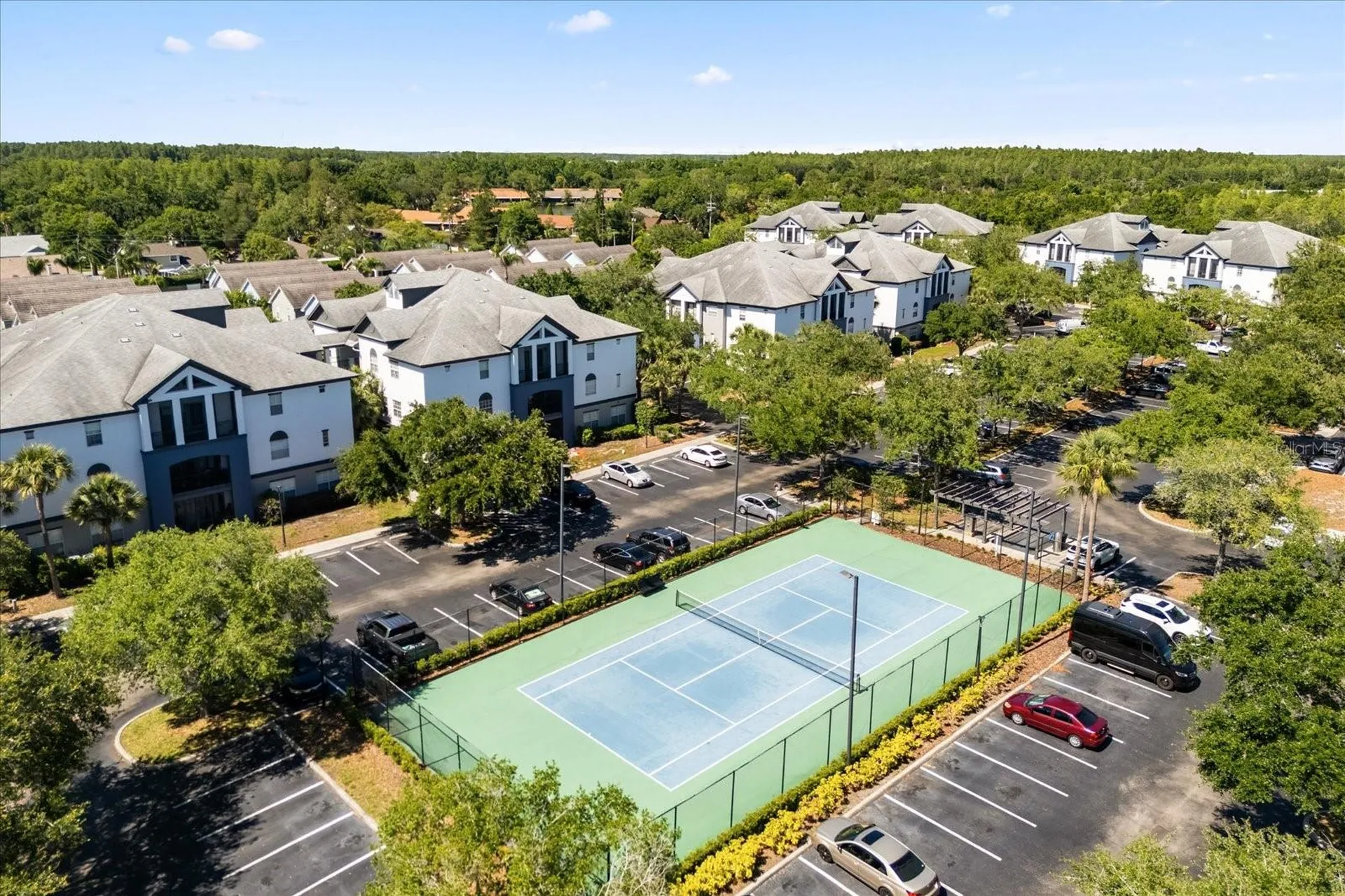 4007 Bangalow Palm Court Tampa FL 33624
