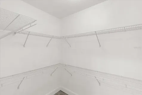 4007 Bangalow Palm Court Tampa FL 33624