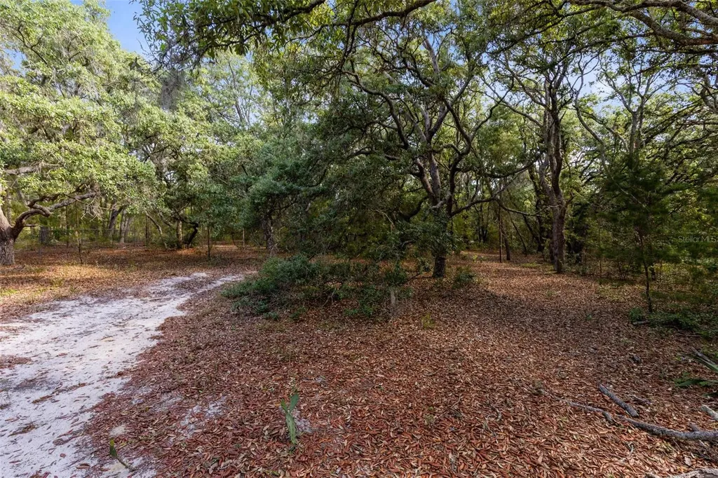 Mor Tay Trail Kissimmee FL 34747