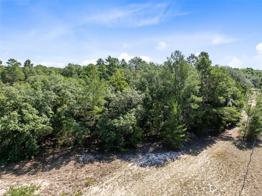 Mor Tay Trail Kissimmee FL 34747