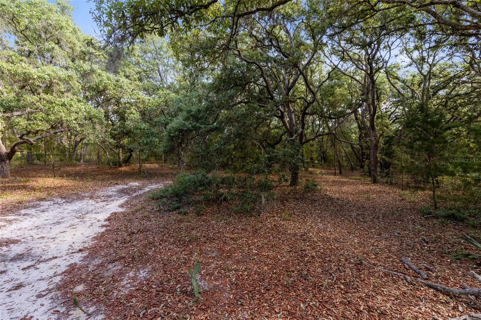 Mor Tay Trail Kissimmee FL 34747