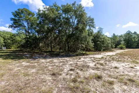 Mor Tay Trail Kissimmee FL 34747