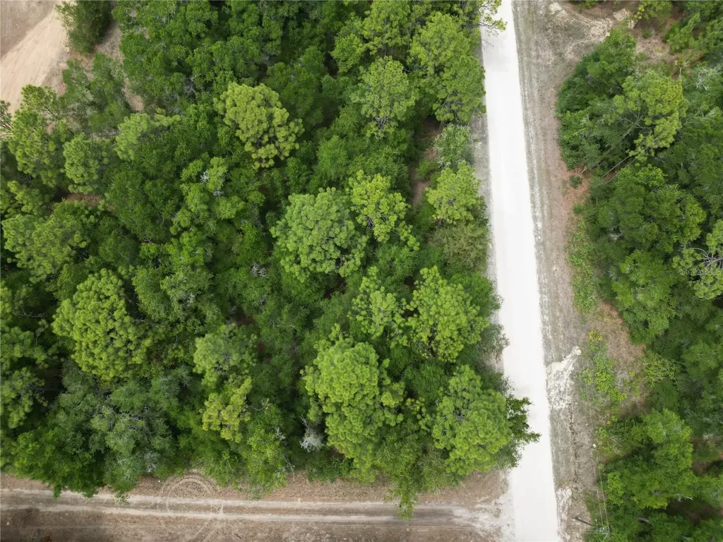 Tbd SW 31st Place Ocala FL 34481
