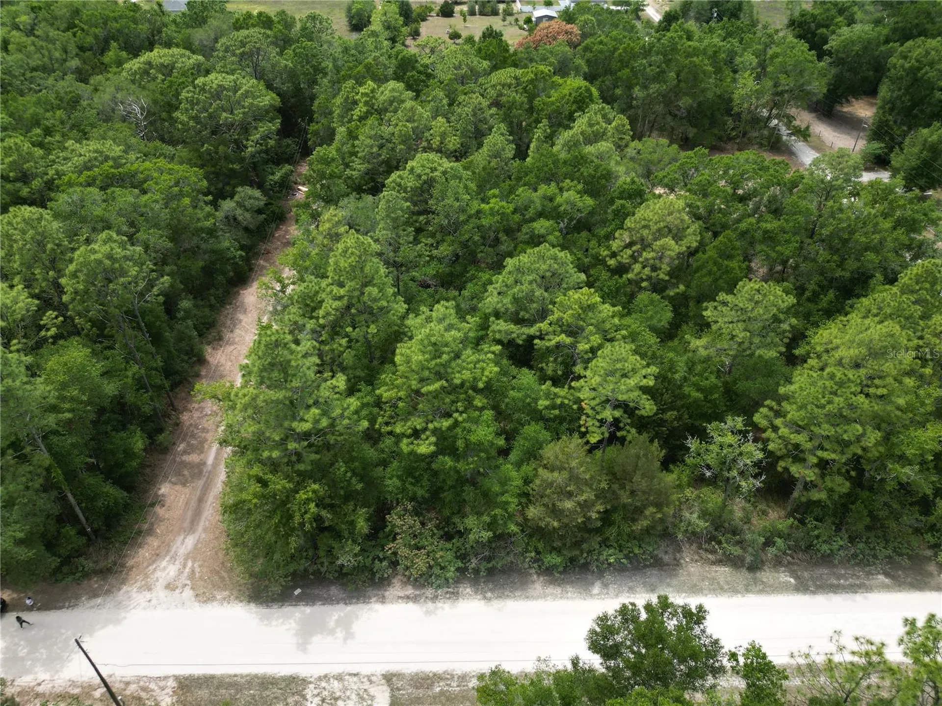 Tbd SW 31st Place Ocala FL 34481