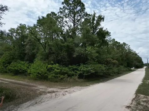 Tbd SW 31st Place Ocala FL 34481