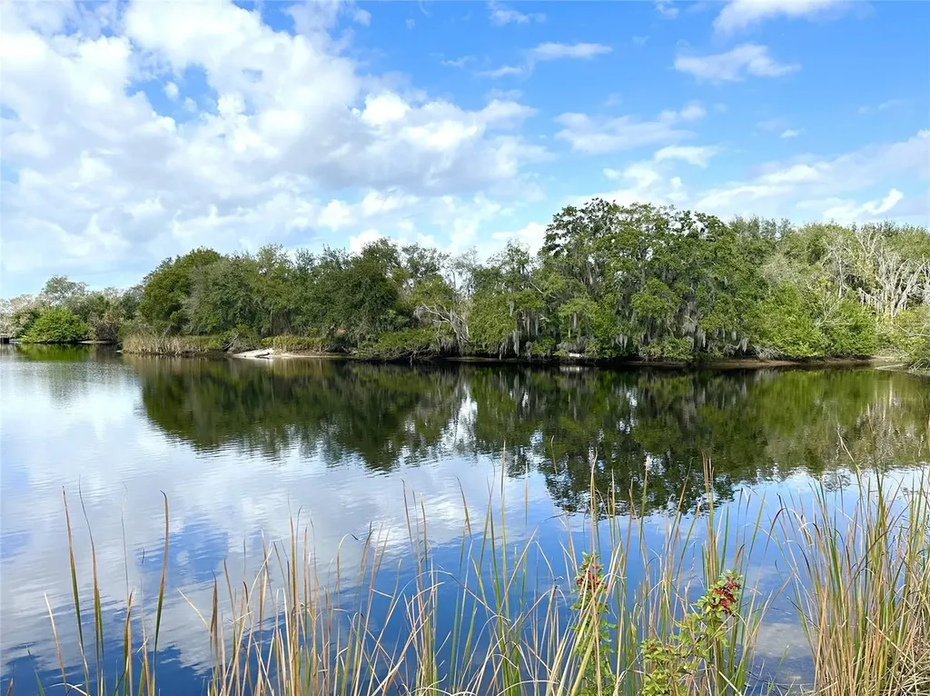 0 Berry Hill Road Holiday FL 34690