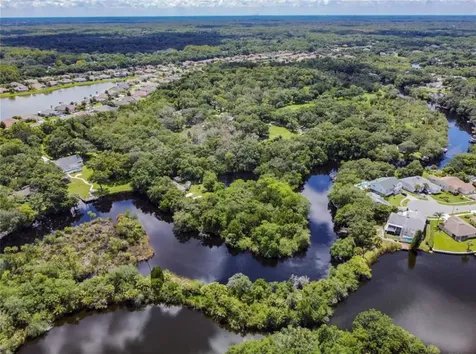 0 Berry Hill Road Holiday FL 34690