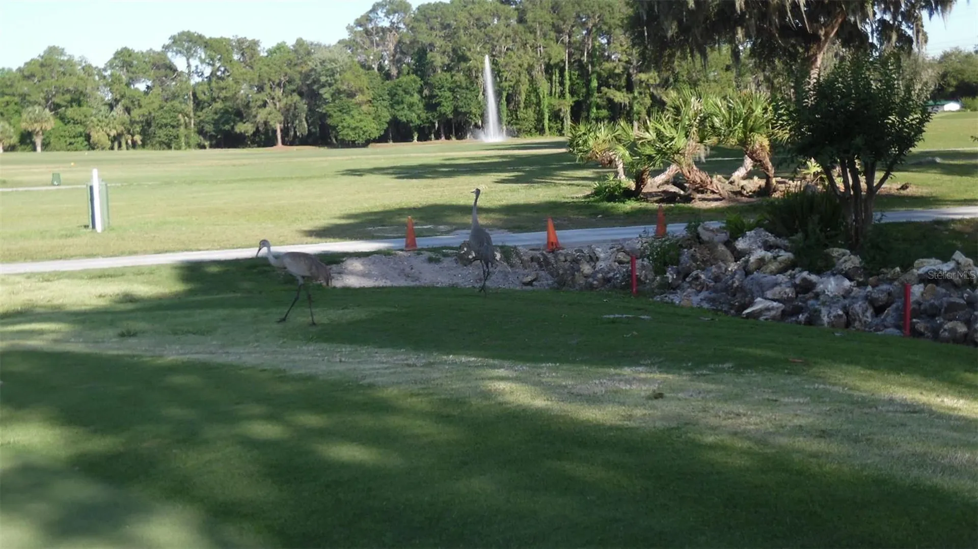 87 N Bobwhite Road Wildwood FL 34785