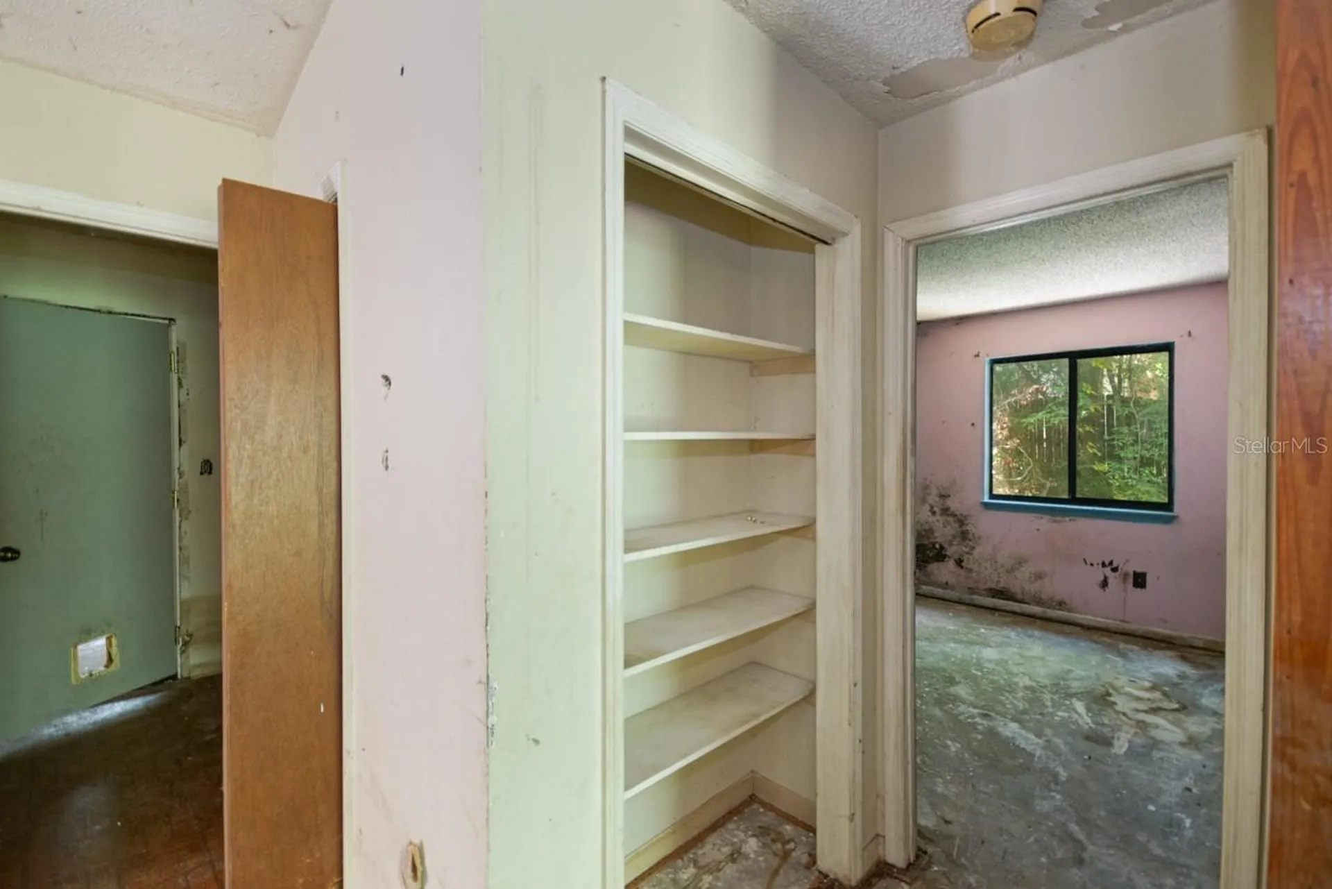 6728 Apollo Trail Tallahassee FL 32309