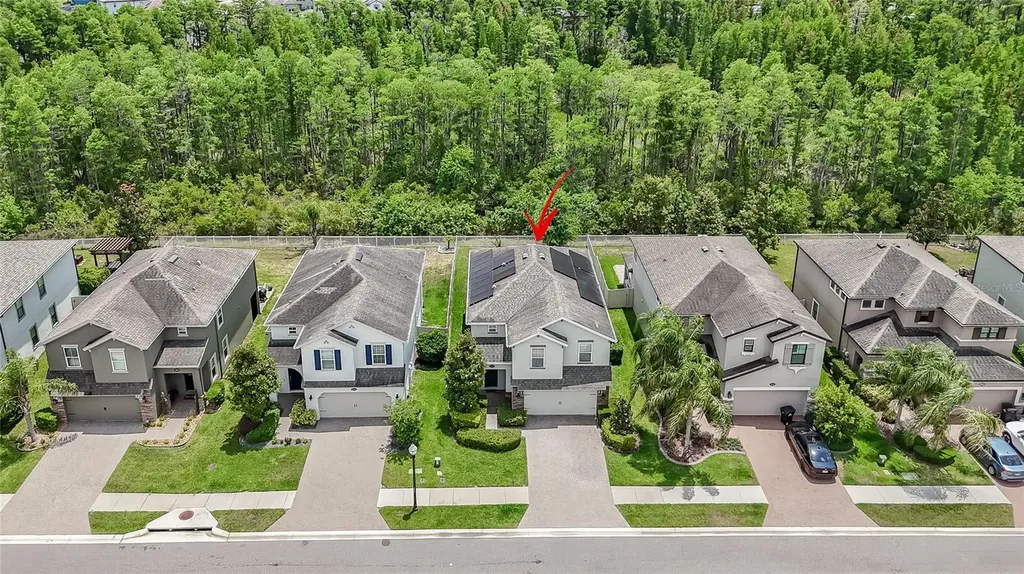 19312 Roseate Drive Lutz FL 33558