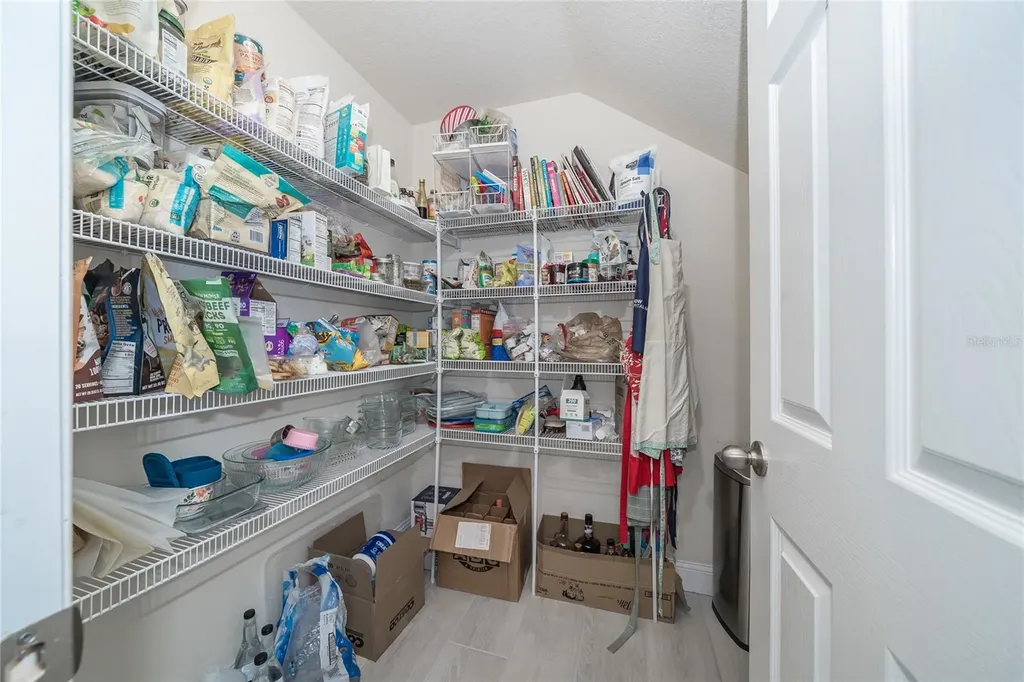 19312 Roseate Drive Lutz FL 33558