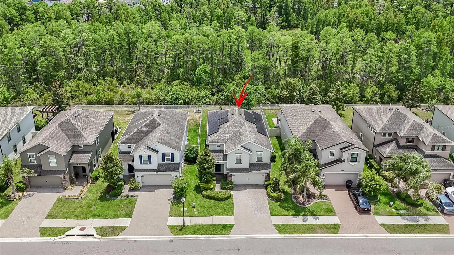 19312 Roseate Drive Lutz FL 33558