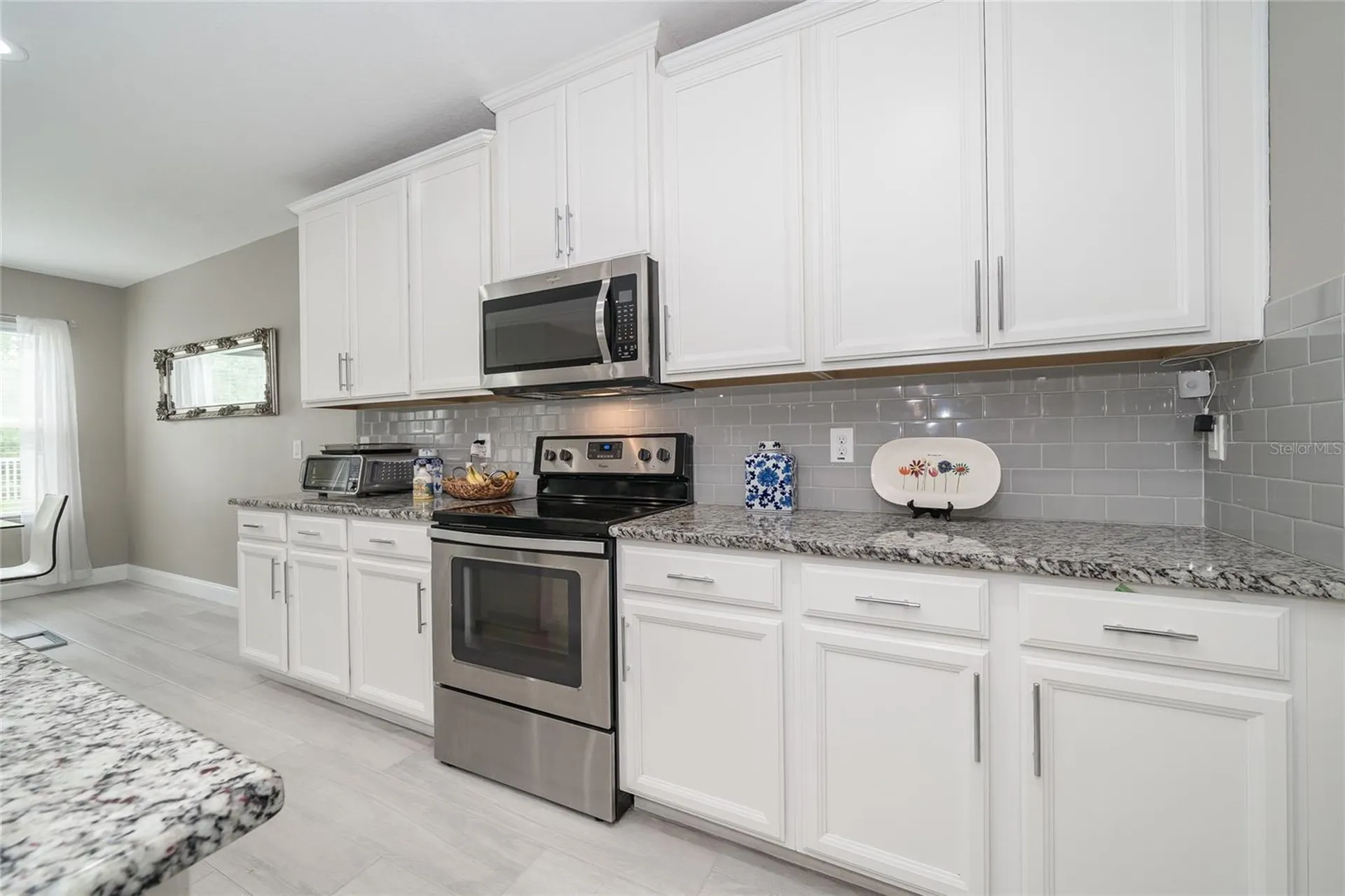 19312 Roseate Drive Lutz FL 33558