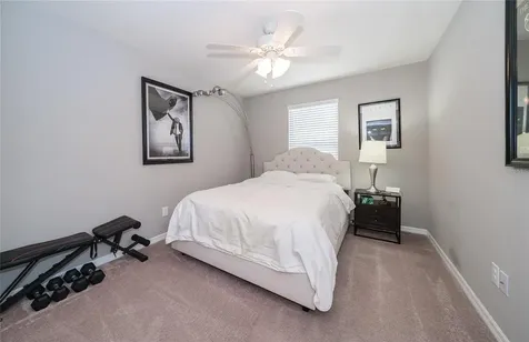 19312 Roseate Drive Lutz FL 33558