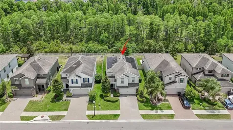 19312 Roseate Drive Lutz FL 33558