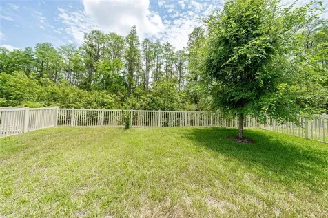 19312 Roseate Drive Lutz FL 33558