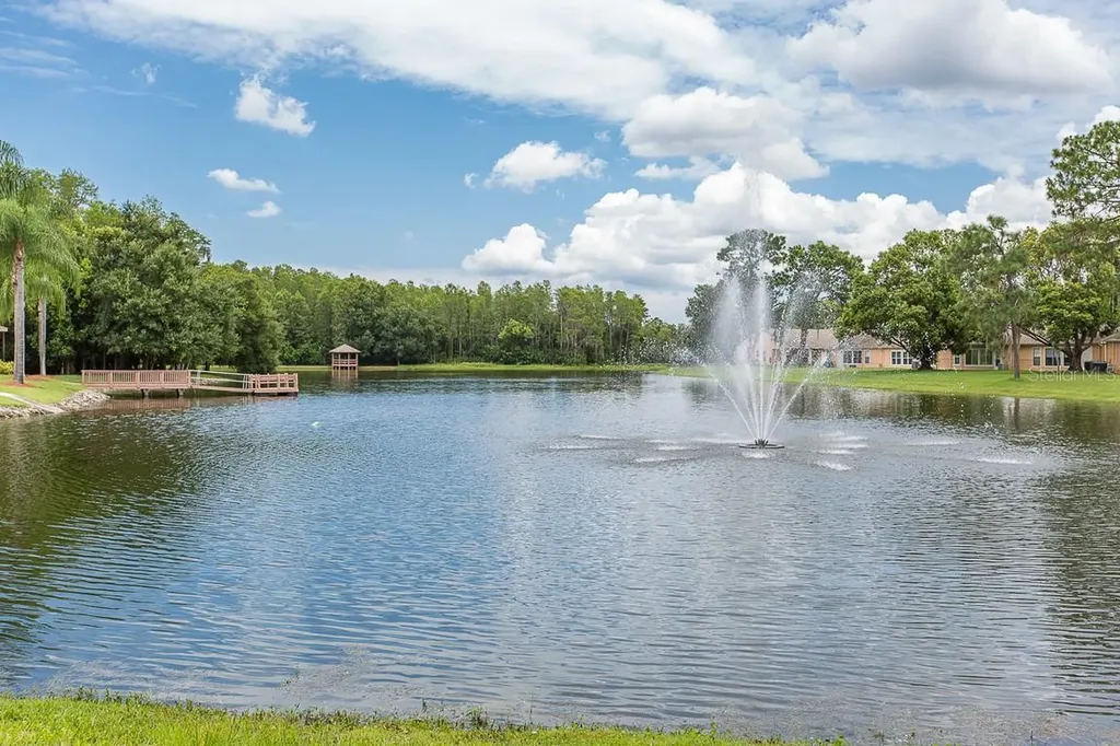 9903 Kingsport Avenue New Port Richey FL 34655