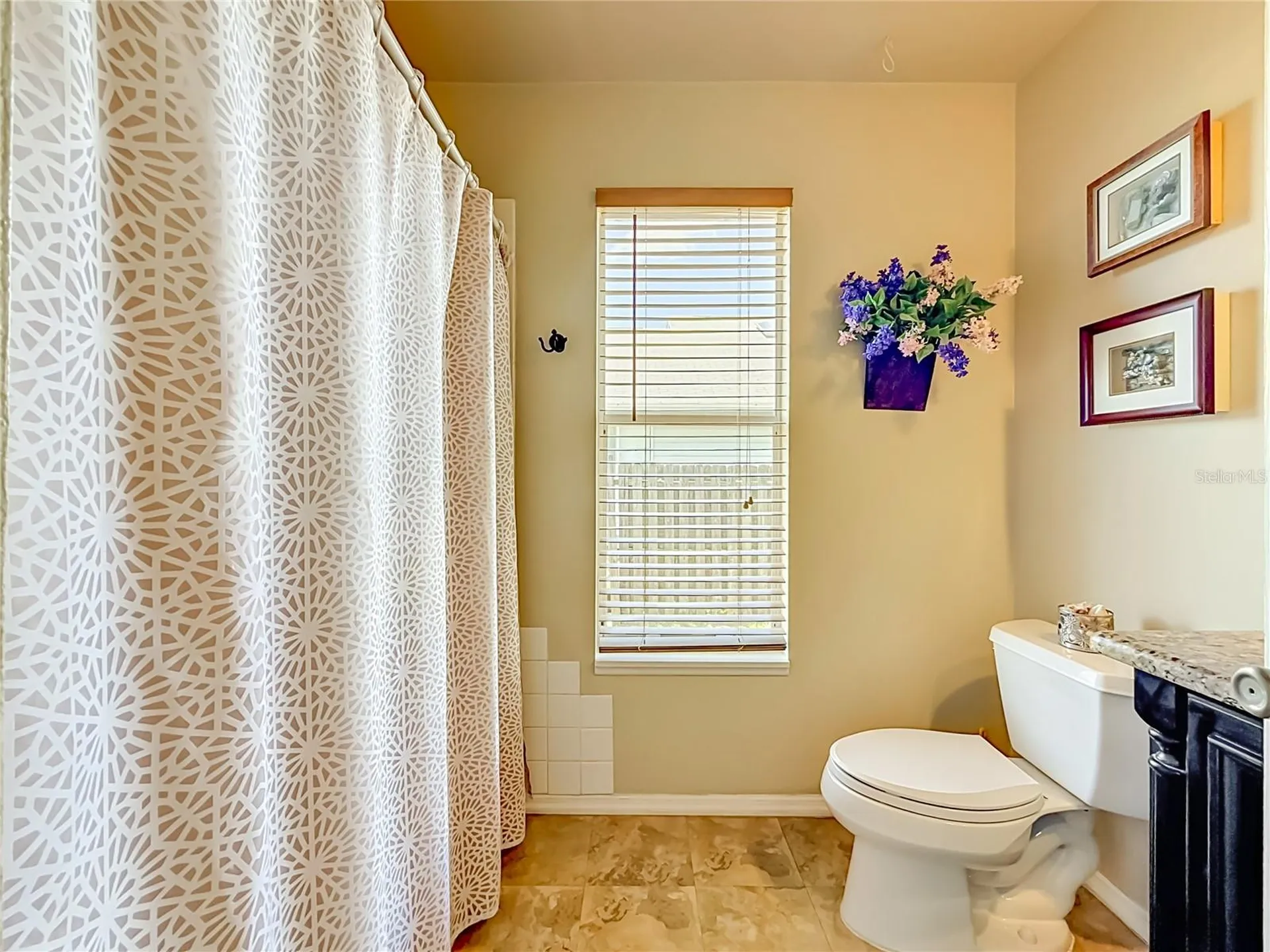 2924 Penridge Drive Palm Harbor FL 34684