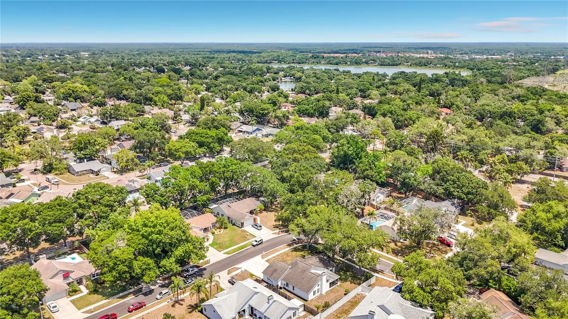 2924 Penridge Drive Palm Harbor FL 34684