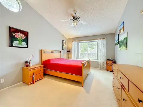 2924 Penridge Drive Palm Harbor FL 34684
