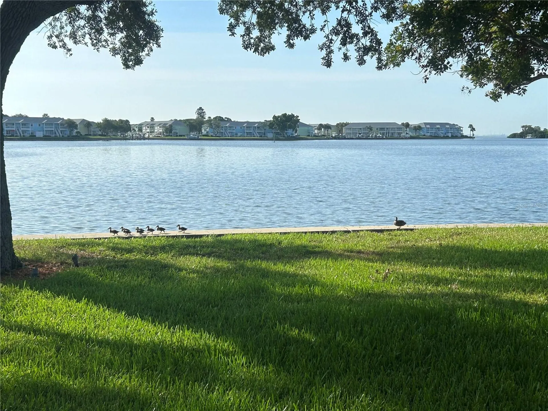 4838 Paradise Way S St Petersburg FL 33705