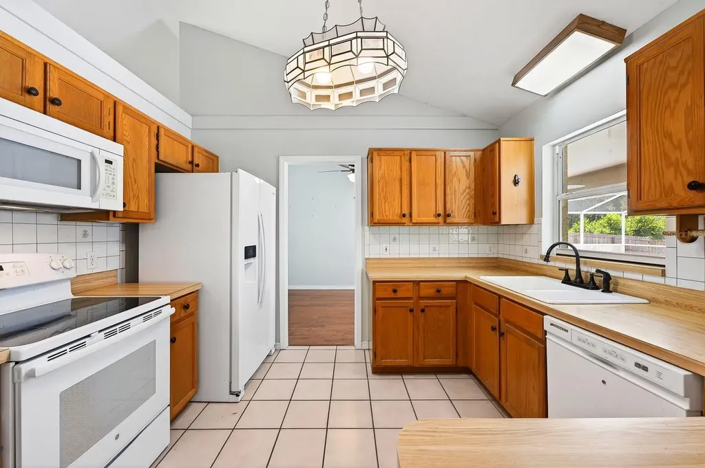 10126 Silver Bluff Drive Leesburg FL 34788