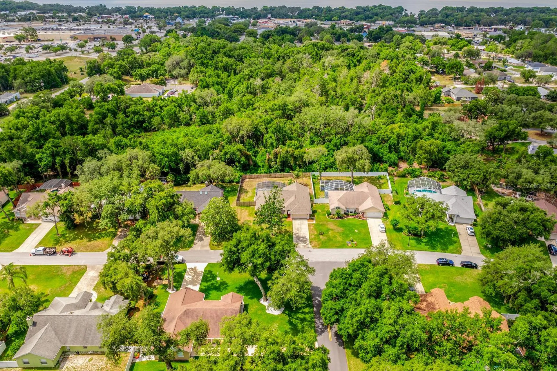 10126 Silver Bluff Drive Leesburg FL 34788