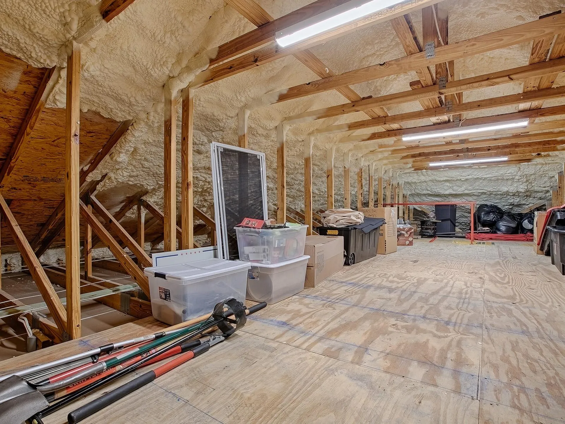 858 Pinckney Lane The Villages FL 32162