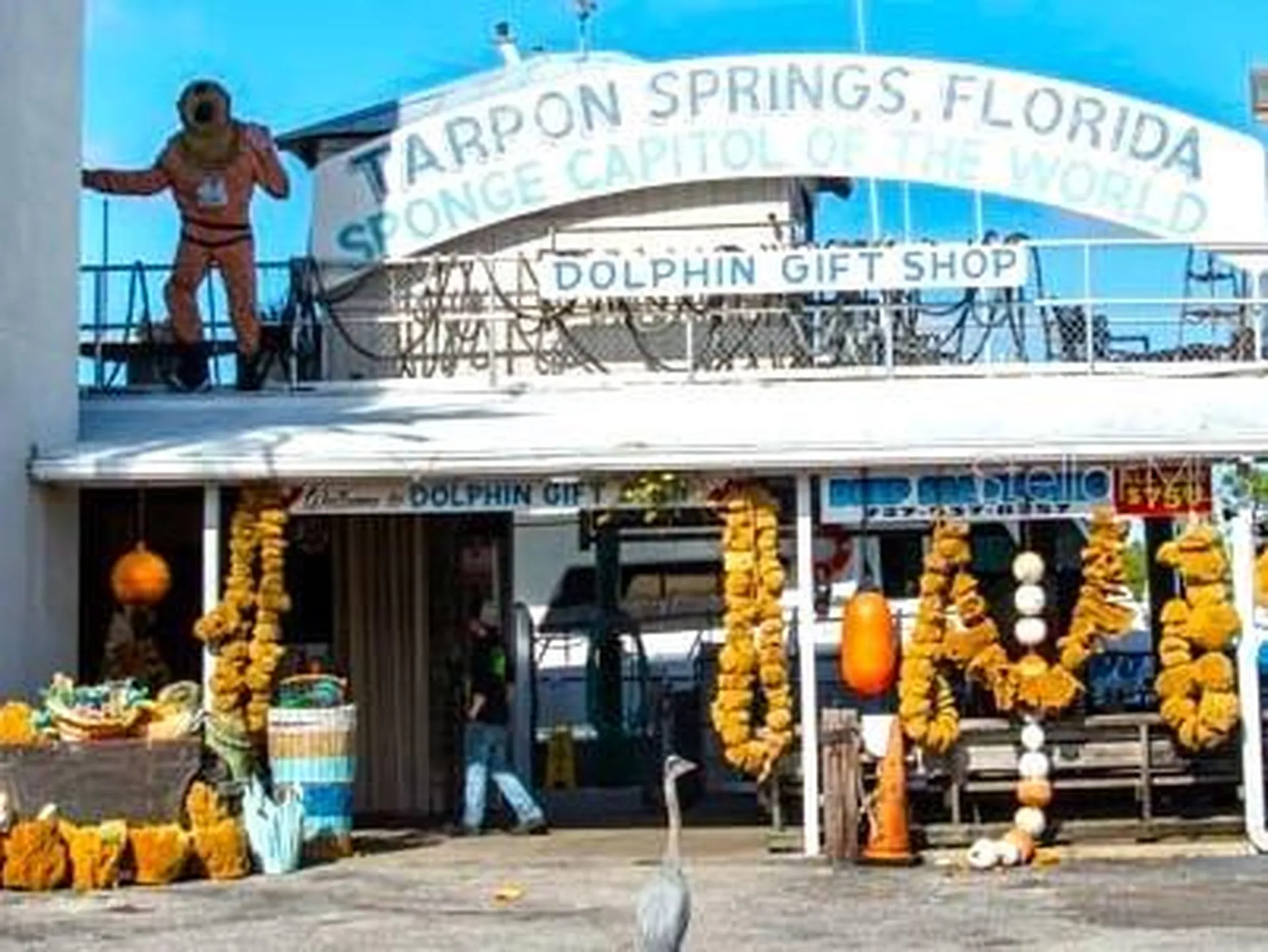 800 Chesapeake Drive Tarpon Springs FL 34689
