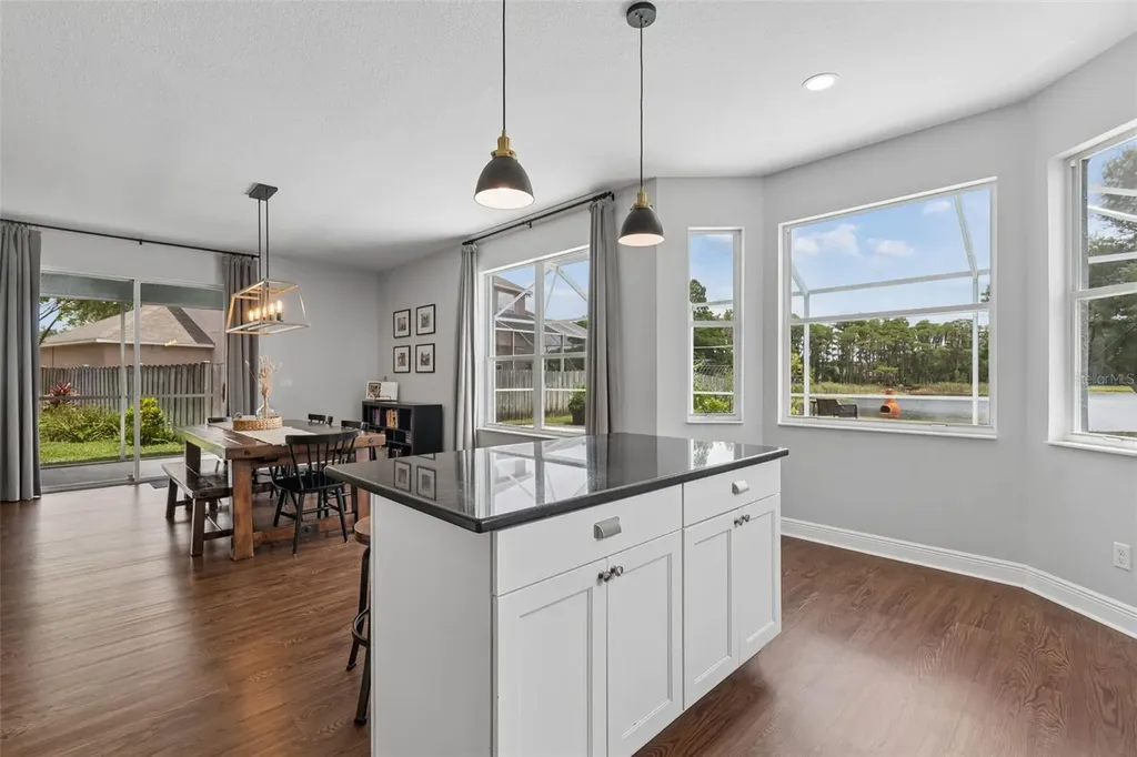 1324 Brooke View Drive Odessa FL 33556