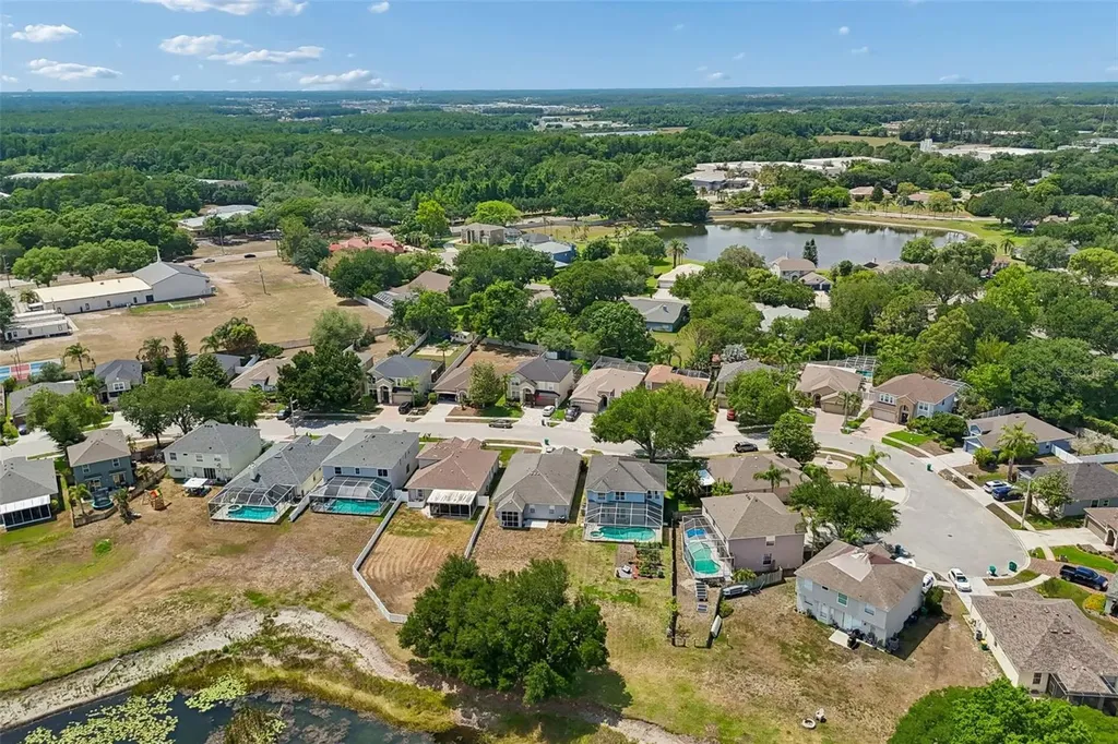 1324 Brooke View Drive Odessa FL 33556