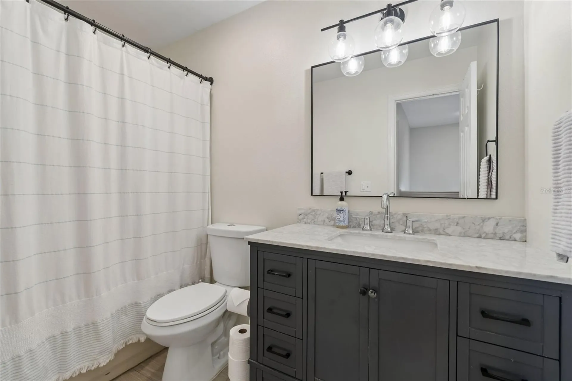 1324 Brooke View Drive Odessa FL 33556