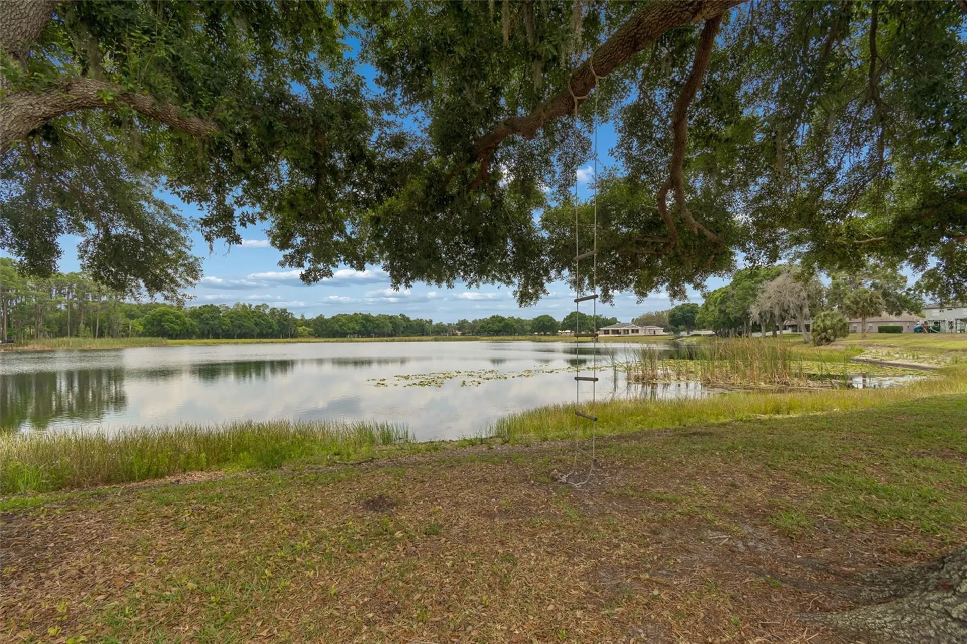 1324 Brooke View Drive Odessa FL 33556