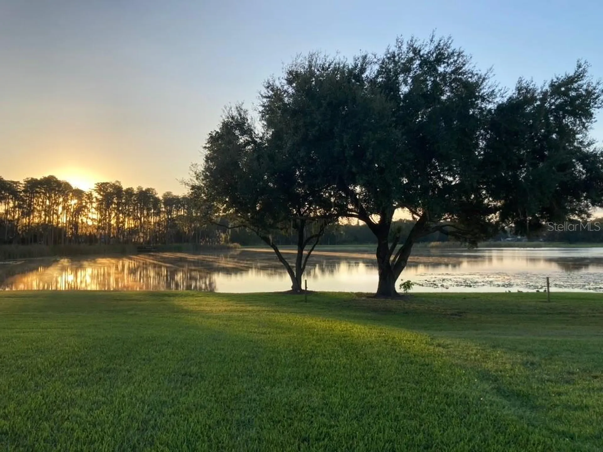 1324 Brooke View Drive Odessa FL 33556
