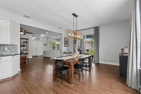 1324 Brooke View Drive Odessa FL 33556