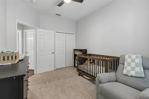 1324 Brooke View Drive Odessa FL 33556