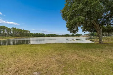 1324 Brooke View Drive Odessa FL 33556