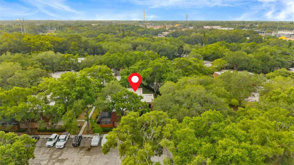 2702 4th Court Palm Harbor FL 34684