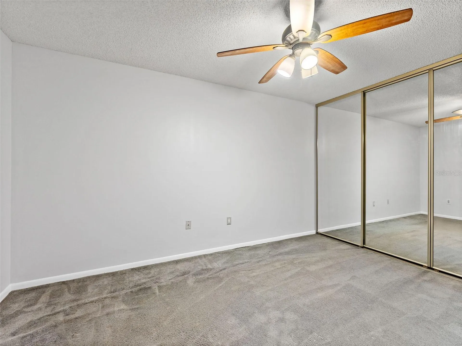 2702 4th Court Palm Harbor FL 34684