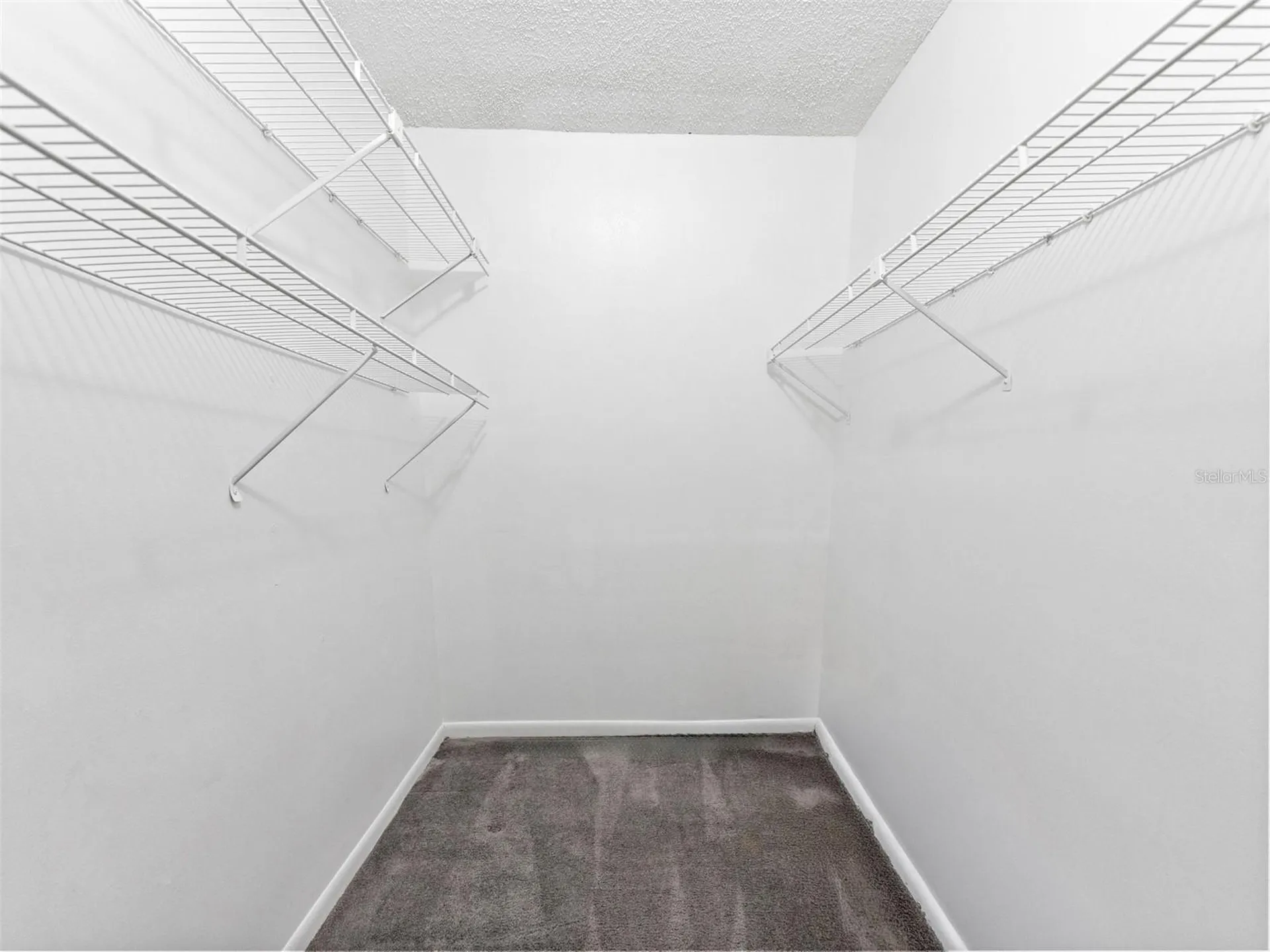2702 4th Court Palm Harbor FL 34684