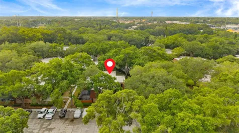 2702 4th Court Palm Harbor FL 34684