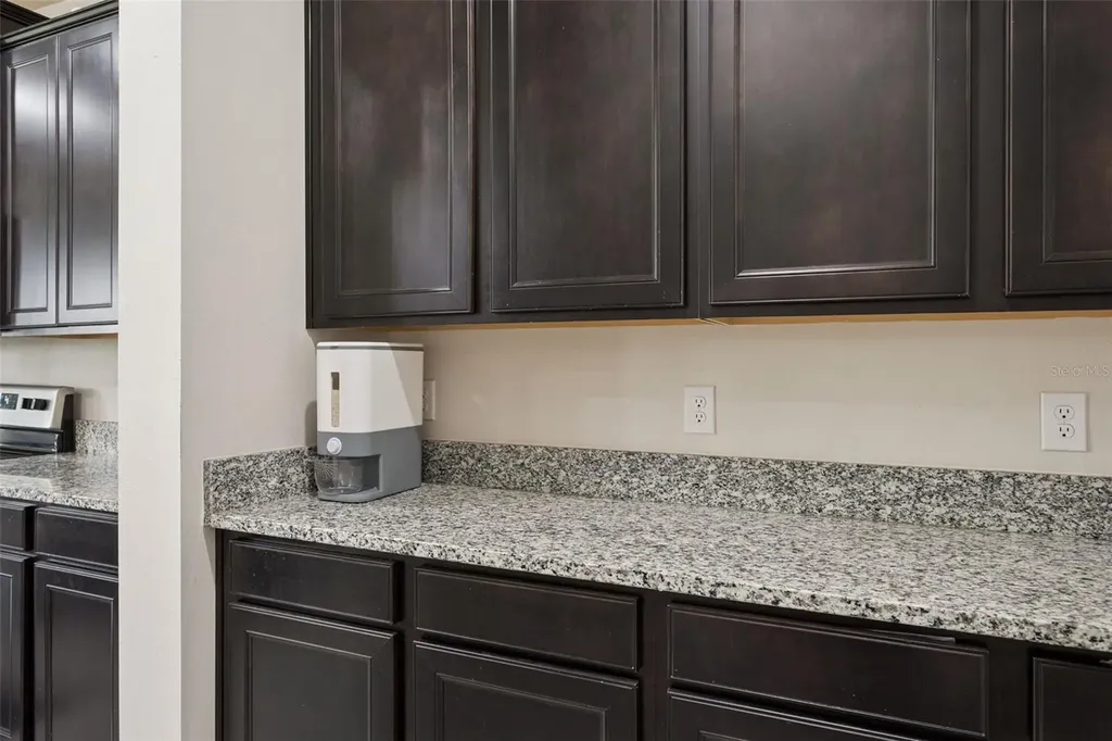 9119 Forge Breeze Loop Wesley Chapel FL 33545