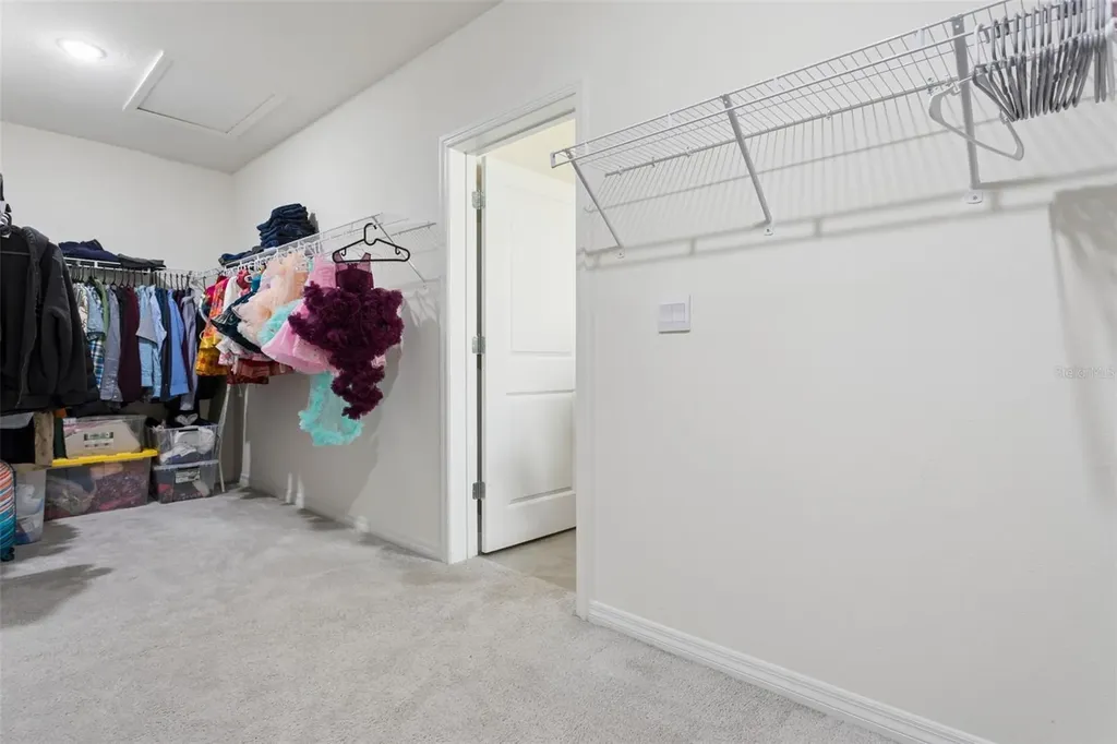 9119 Forge Breeze Loop Wesley Chapel FL 33545