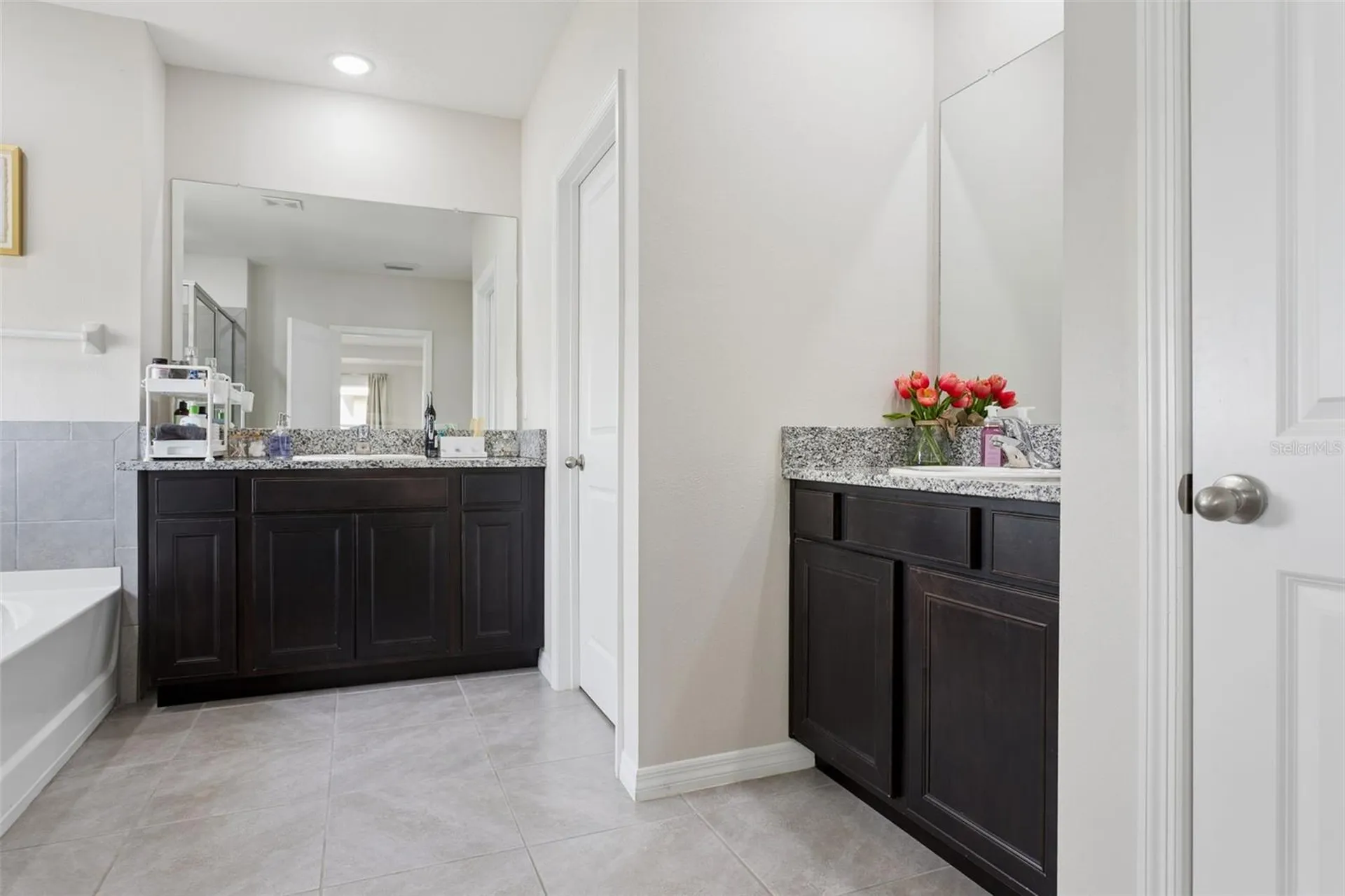 9119 Forge Breeze Loop Wesley Chapel FL 33545