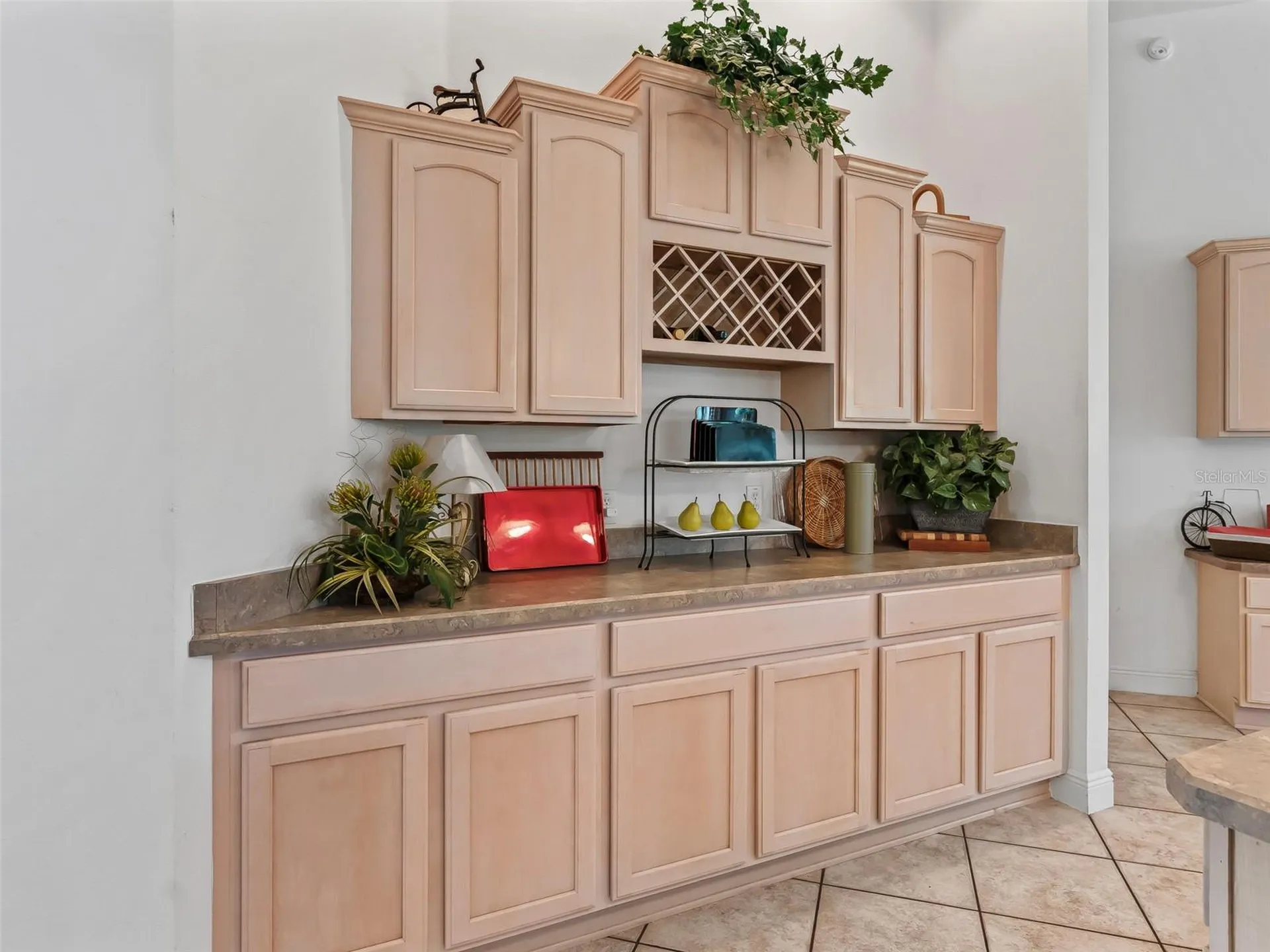 8755 SE 177th Grassmere Street The Villages FL 32162