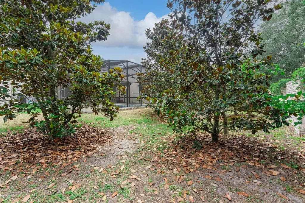 2265 Emerald Springs Drive Apopka FL 32712